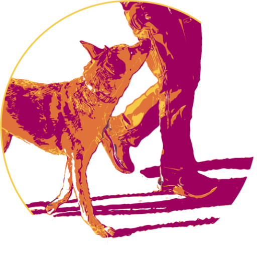 Paws Forward Walk & Train, Pawsome Pets Dog Walking and Pet Sitting